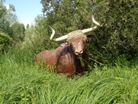 La chasse