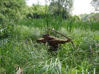 La chasse